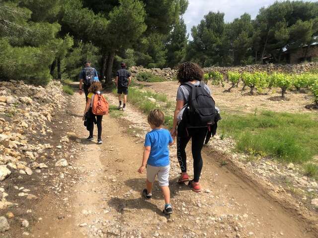 Randonnée : Le Sentier du vigneron