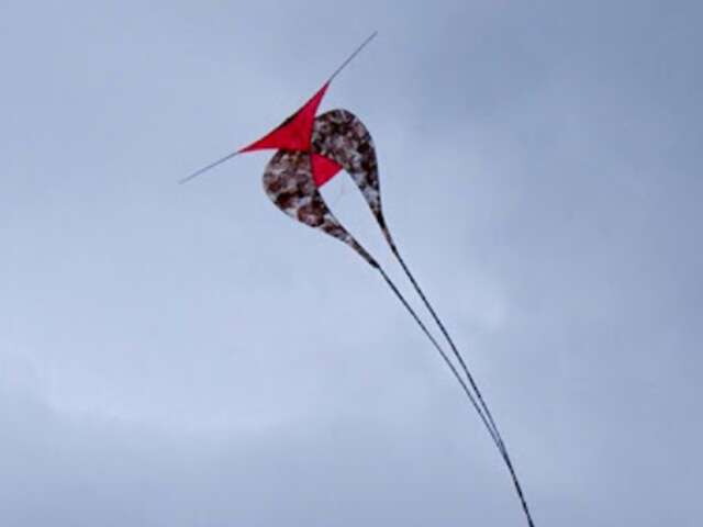 Vents & Compagnie - Exposition d'Oeuvres papier de Sonia Lê Van et Claude Léa Comallonga