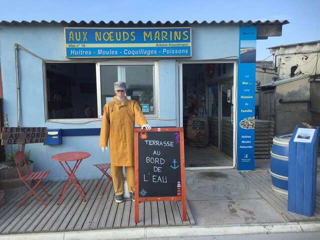 Aux Nœuds Marins - Producteur d'huîtres