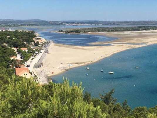 Opération plage propre