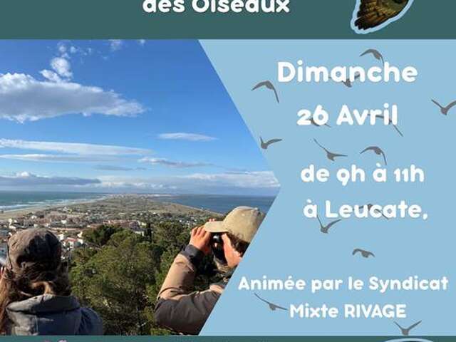 Balades Nature avec la Maison de l'Etang