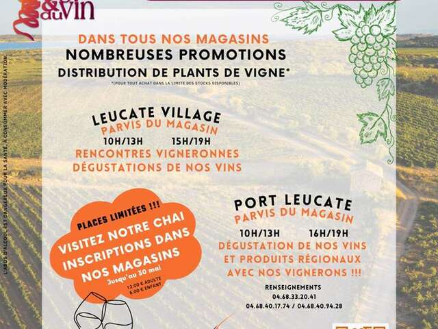 Fête de la vigne et du vin - Vignobles Cap Leucate