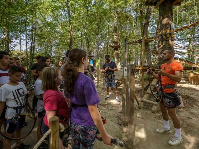 Acrogivry Les Aventures en Forêt