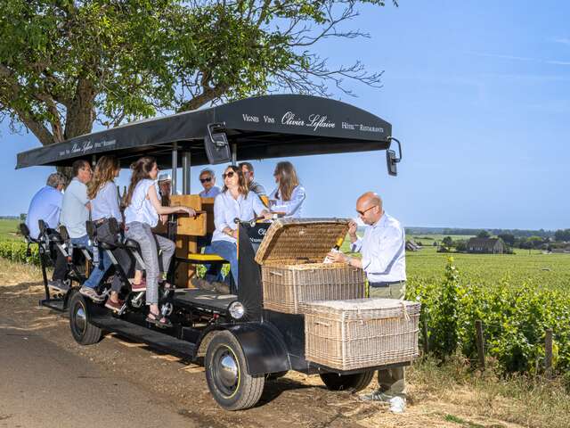 Olivier Leflaive - Wine Bike Experience