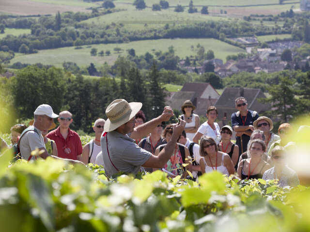 OeNolay tour - Cœur des Hautes Côtes de Beaune