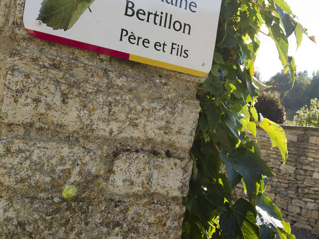 Domaine Bertillon Père et Fils