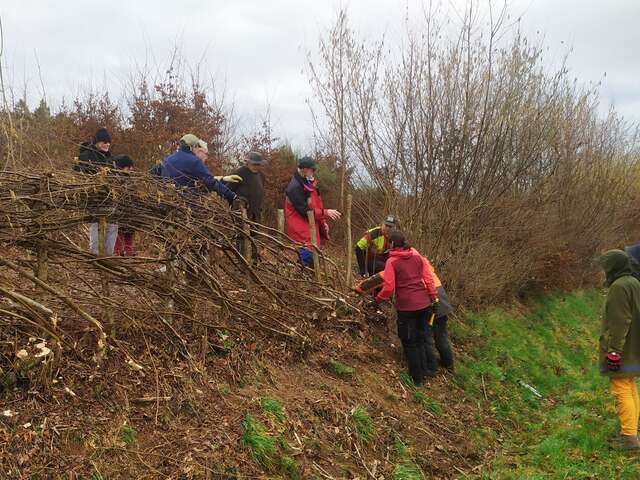 Le Mois de la Plèchie - Cussy-en-Morvan