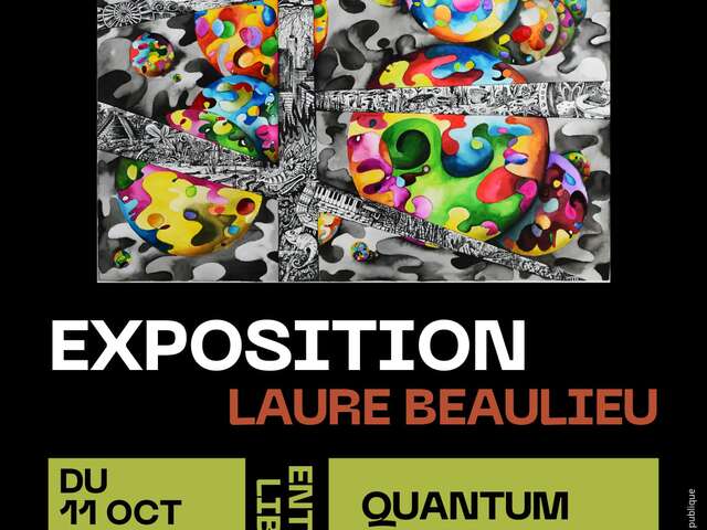 Exposition Quantum Vertigo de Laure Beaulieu