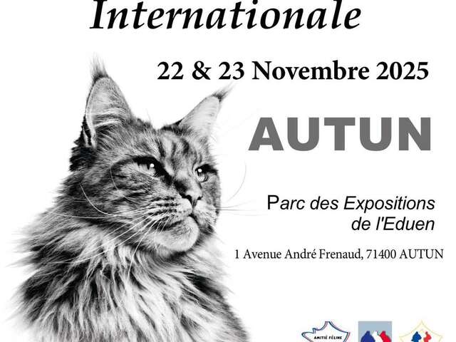 Exposition Féline Internationale d’Autun