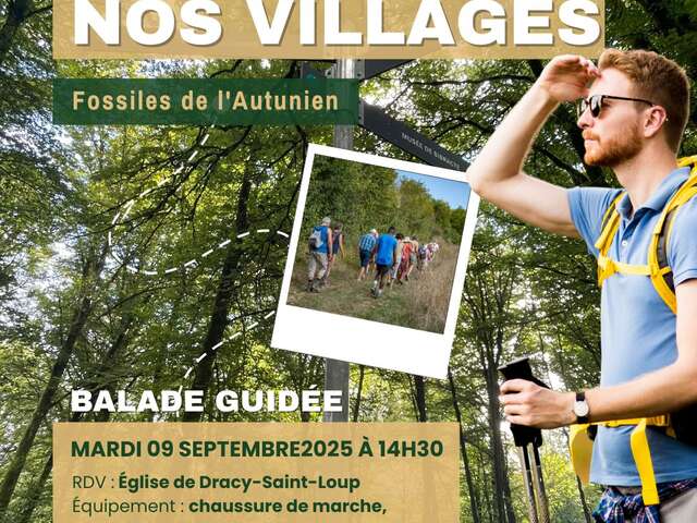 Trésors de nos villages - Fossiles de l'Autunien
