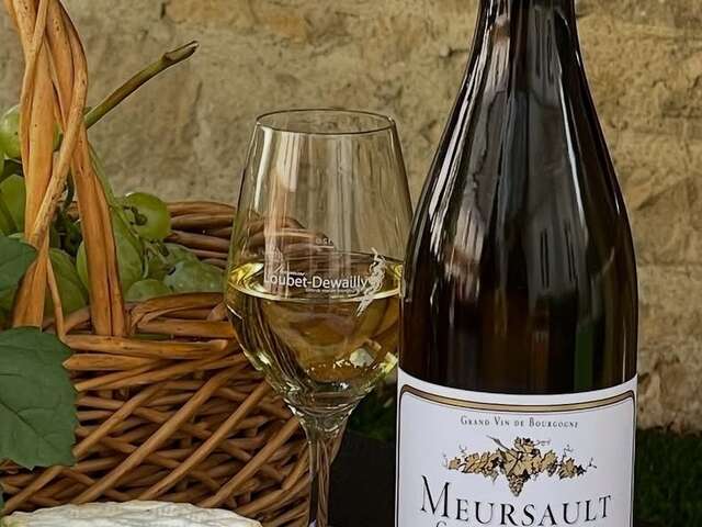 Domaine Loubet-Dewailly VDV 2026 dégustation "Exceptionnelle" comparative: Puligny-Montrachet 'Les Champs Gains' & Meursault 'Clos Saint Philibert' 2020 à 2023