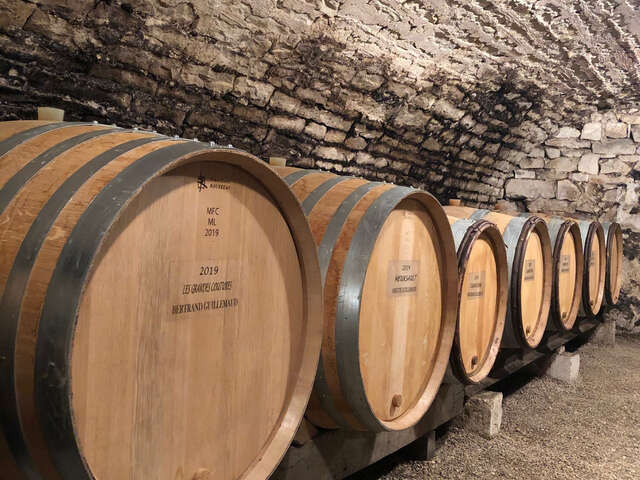 Domaine  Guillemaud Bertrand