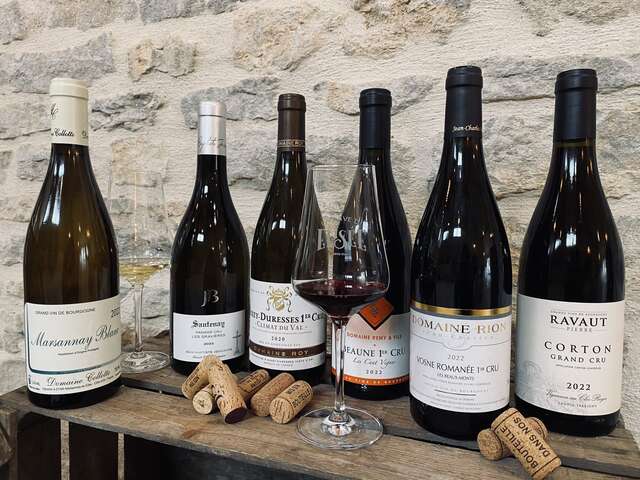 La Cave d'Elisée - Vente des Vins 2025 : Découverte et dégustation 40 grands vins de Bourgogne