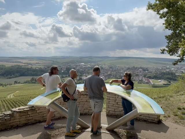 Vititours - Excursions dans le vignoble