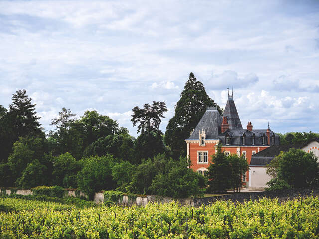 Château Albert Morot