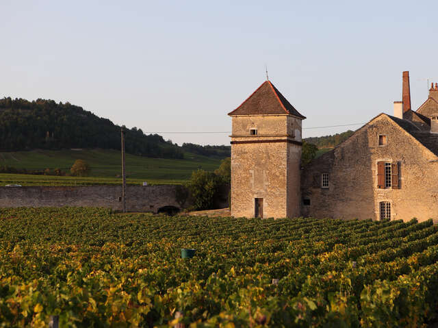 Clos du Moulin aux Moines