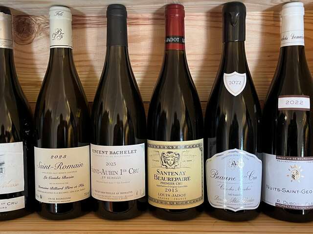 Cave "Les Ateliers du VIN & de l'Art" (by Maison Billy) - Vente des Vins 2025 : Dégustation Prestige  en Cave du Xème siècle