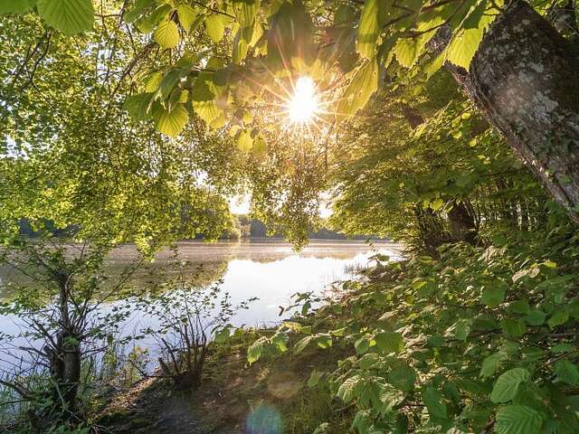 Espace naturel du Pont du Roi