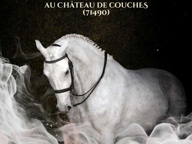 Les Spectaculaires