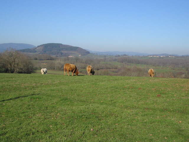 En montant à Dône