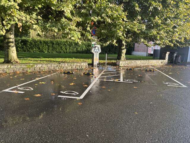 Borne de recharge pour véhicules électriques