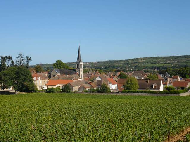 Balade à Santenay