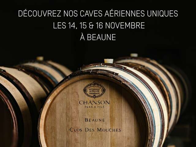 Domaine Chanson - Dégustation spéciale Vente des vins 2025