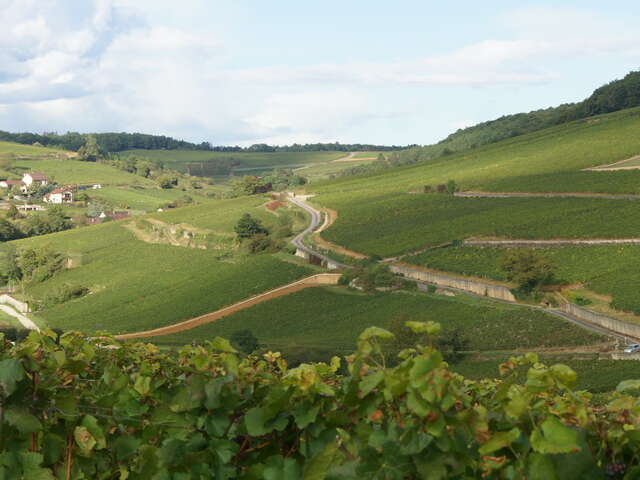 Domaine Berthod Aurélie