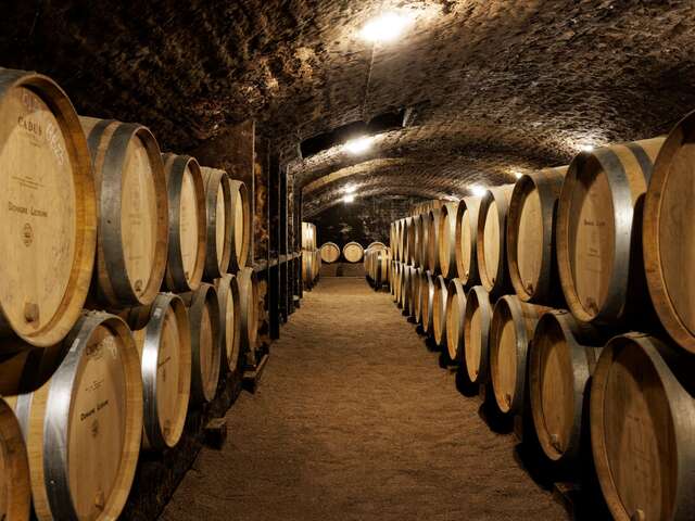 Domaine Lejeune