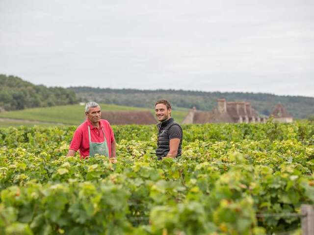 Domaine Clerget Yvon