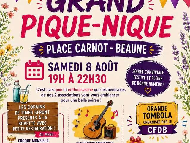 Pique Nique Géant avec concert gratuit