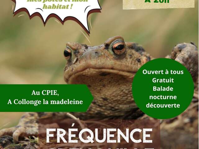 CPIE Pays de Bourgogne