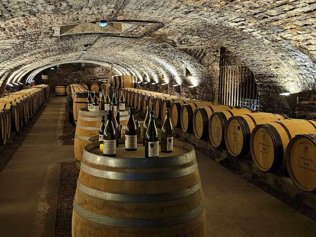 Hôtel-Dieu - Hospices de Beaune 
2026 - MOUVEMENT(S)
[MON HÔTEL-DIEU] Un livre, un vin, un histoire : raconter le territoire bourguignon