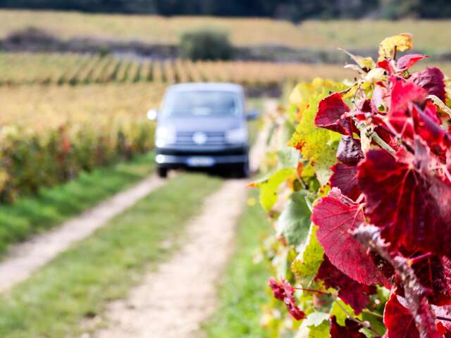 Safari Tours - Tour n°4 Dégustation Domaines & Château