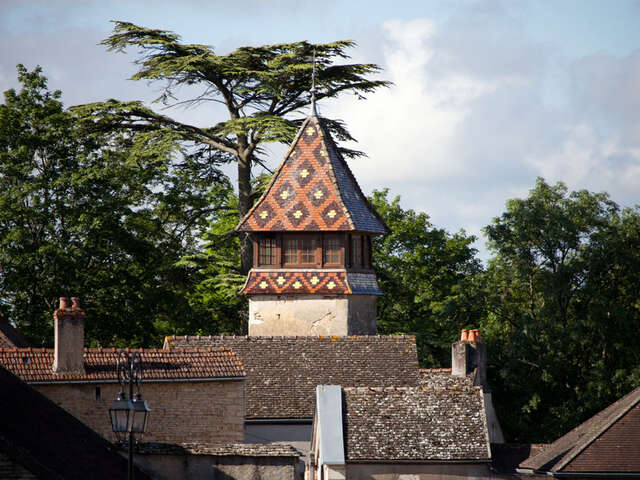 Domaine De Suremain Eric