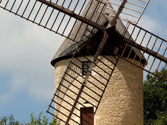 Visite guidée « à la découverte du Moulin Sorine & du vignoble de Santenay »