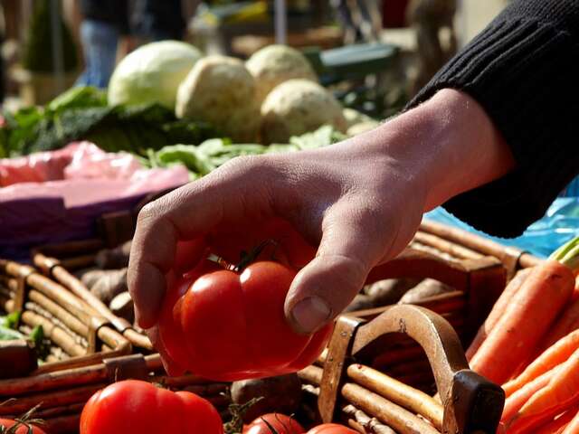 Marché de Santenay