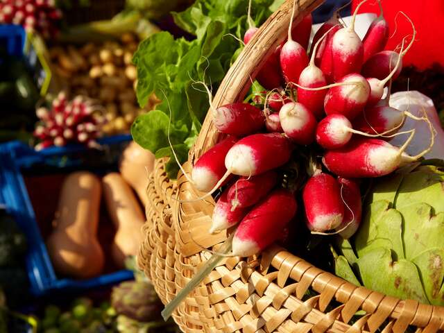 Marché de Nolay