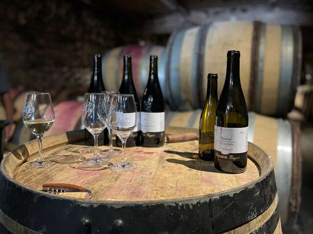 Domaine Baptiste GUYOT : Découverte de nos vins et des caves