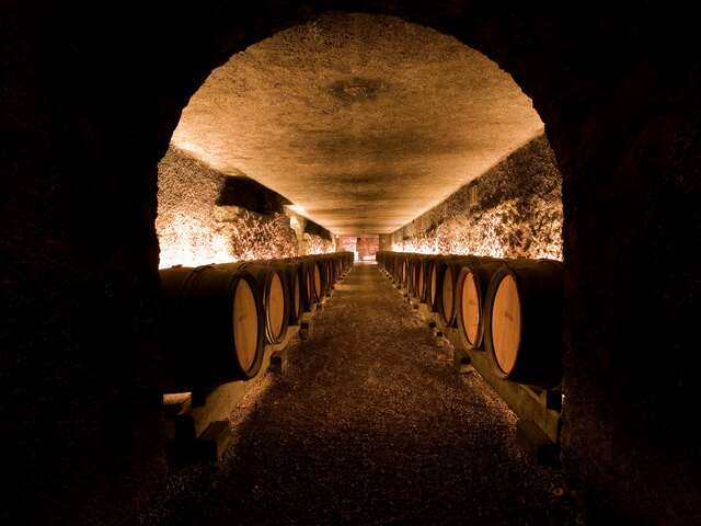 Marché aux Vins - Dégustation Découverte