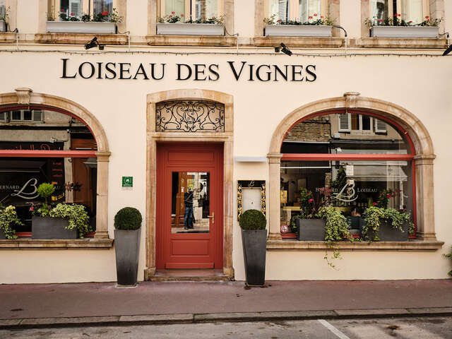 Loiseau des Vignes