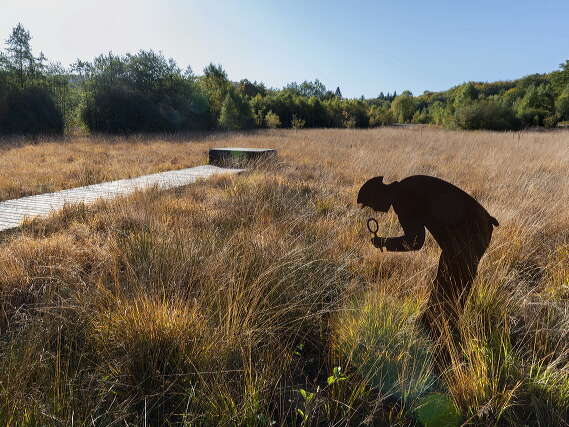 Vers les bois du Folin