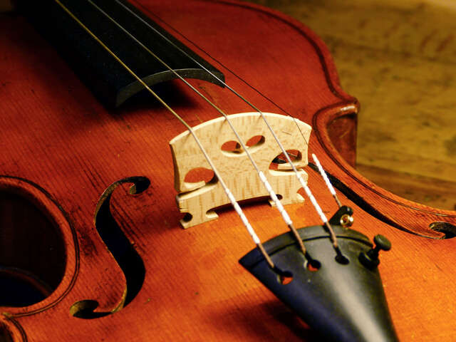 Volutes et Compagnie - EURL Iksis - Julien Fauchier