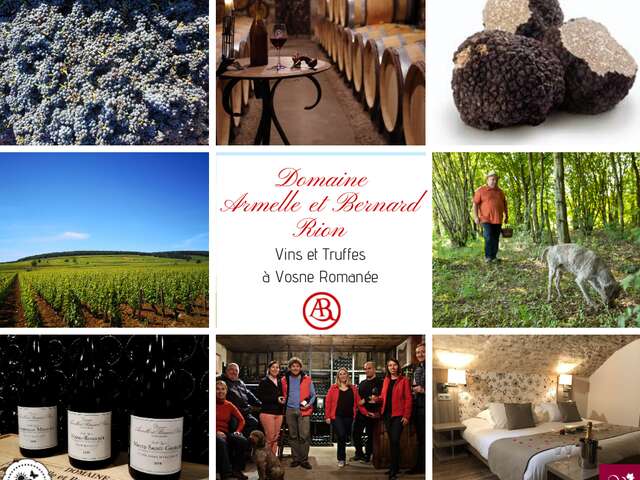 Visites au Domaine Armelle et Bernard Rion