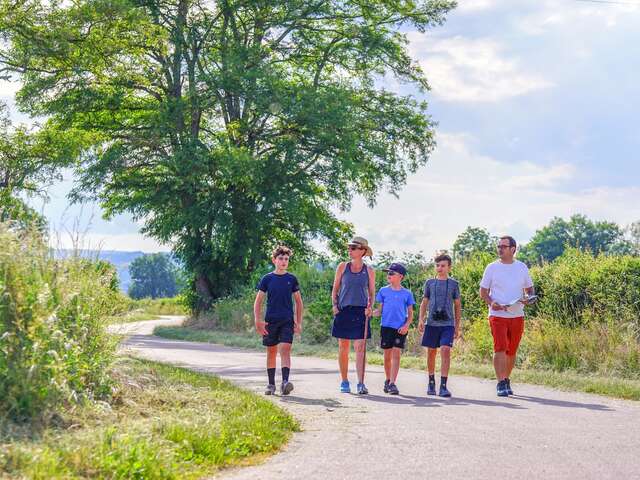 Voie Celte la Certenue