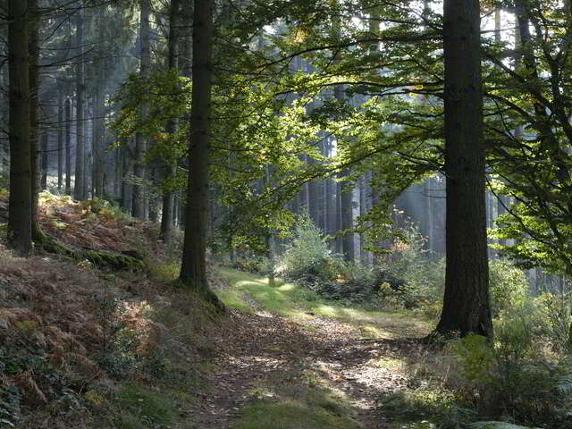 Vers les bois du Folin en 2 jours