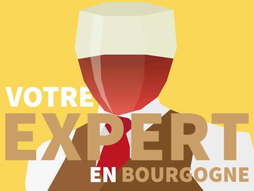 Marché aux Vins - Vente des Vins 2025 - Dégustation EXCLUSIVE