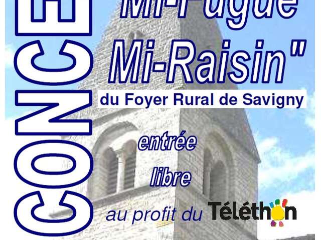 Chorale "Mi-Fugue Mi-Raisin" - concert caritatif à Bouilland