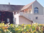 Domaine Martin Michel