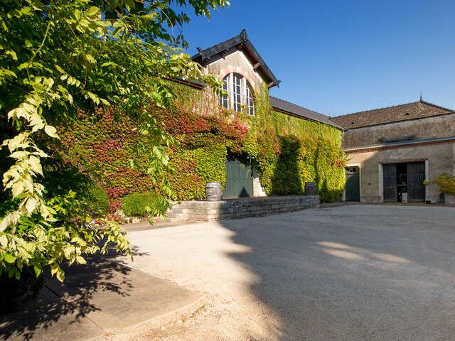 Portes ouvertes au Domaine Albert Morot
